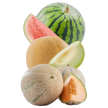 Galia, cantaloupe of watermeloen
